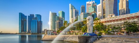 China to Singapore Door to Door Freight Service