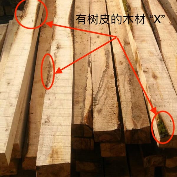 crude wood with bark