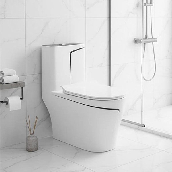 Ceramic Toilets