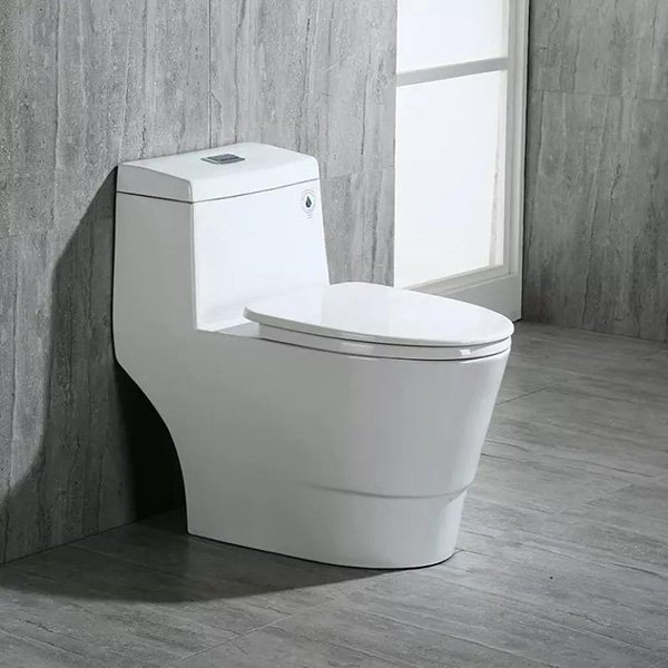 Ceramic Toilets