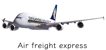 china to singapore air freight