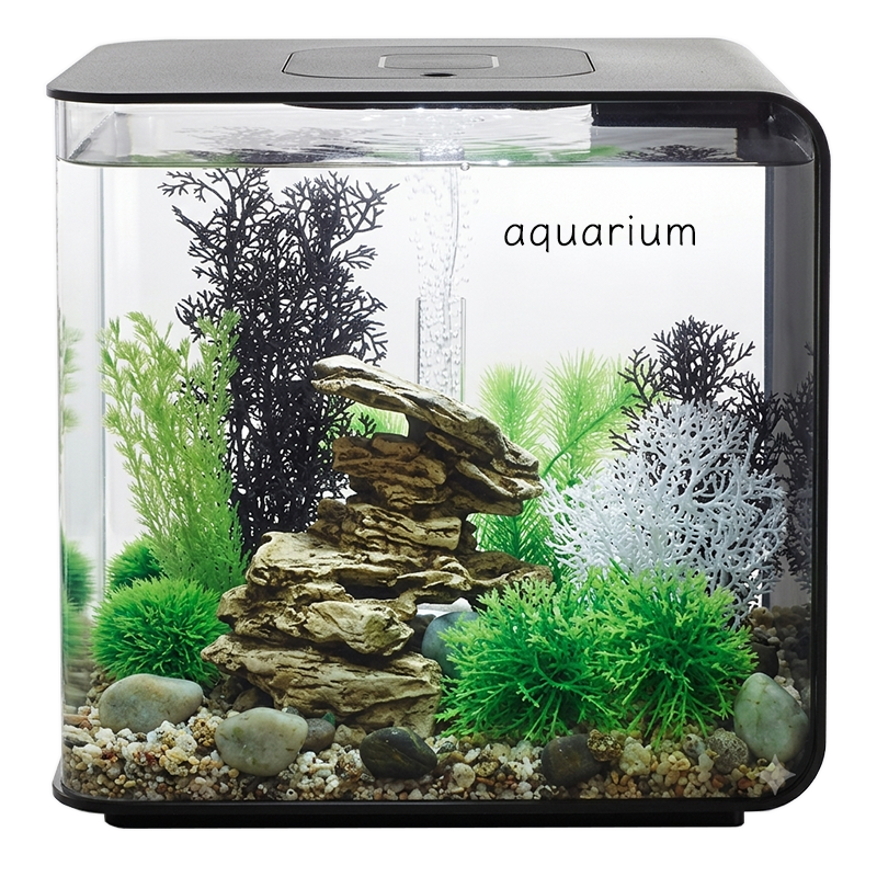 aquarium fish tank ship to singapore