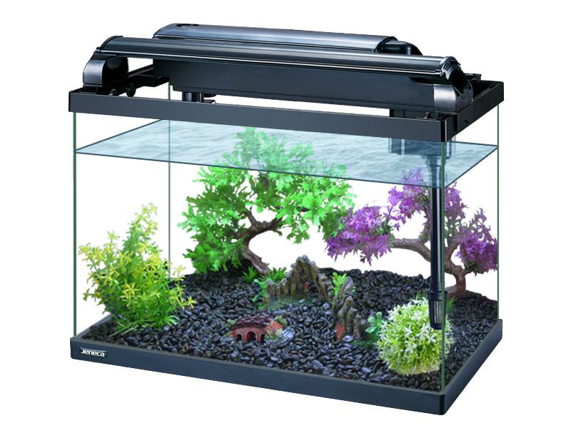 fish tank